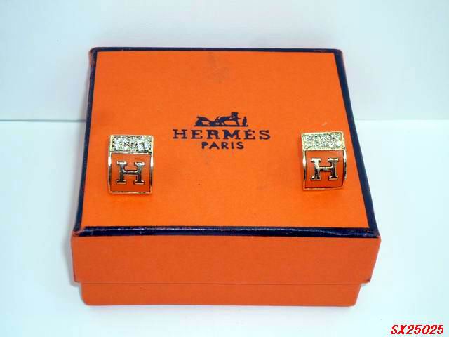 Hermes Earrings 56